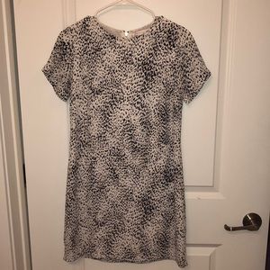 Nice dress, could dress up or down